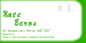 mate beros business card